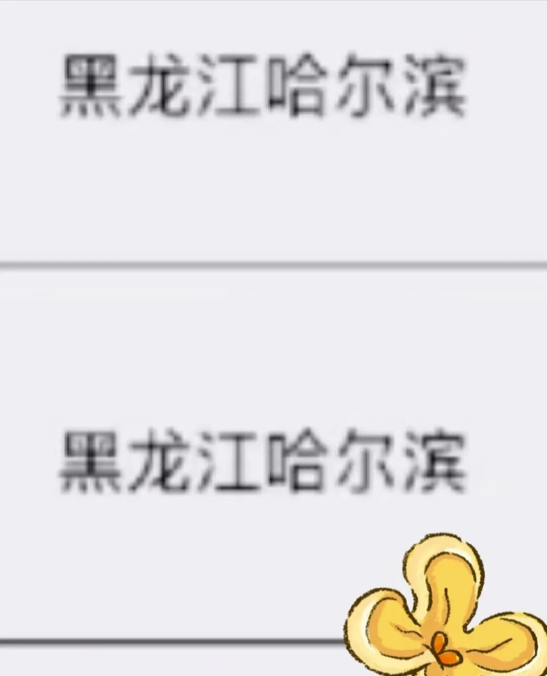 黑龙江哈尔滨出了！！！