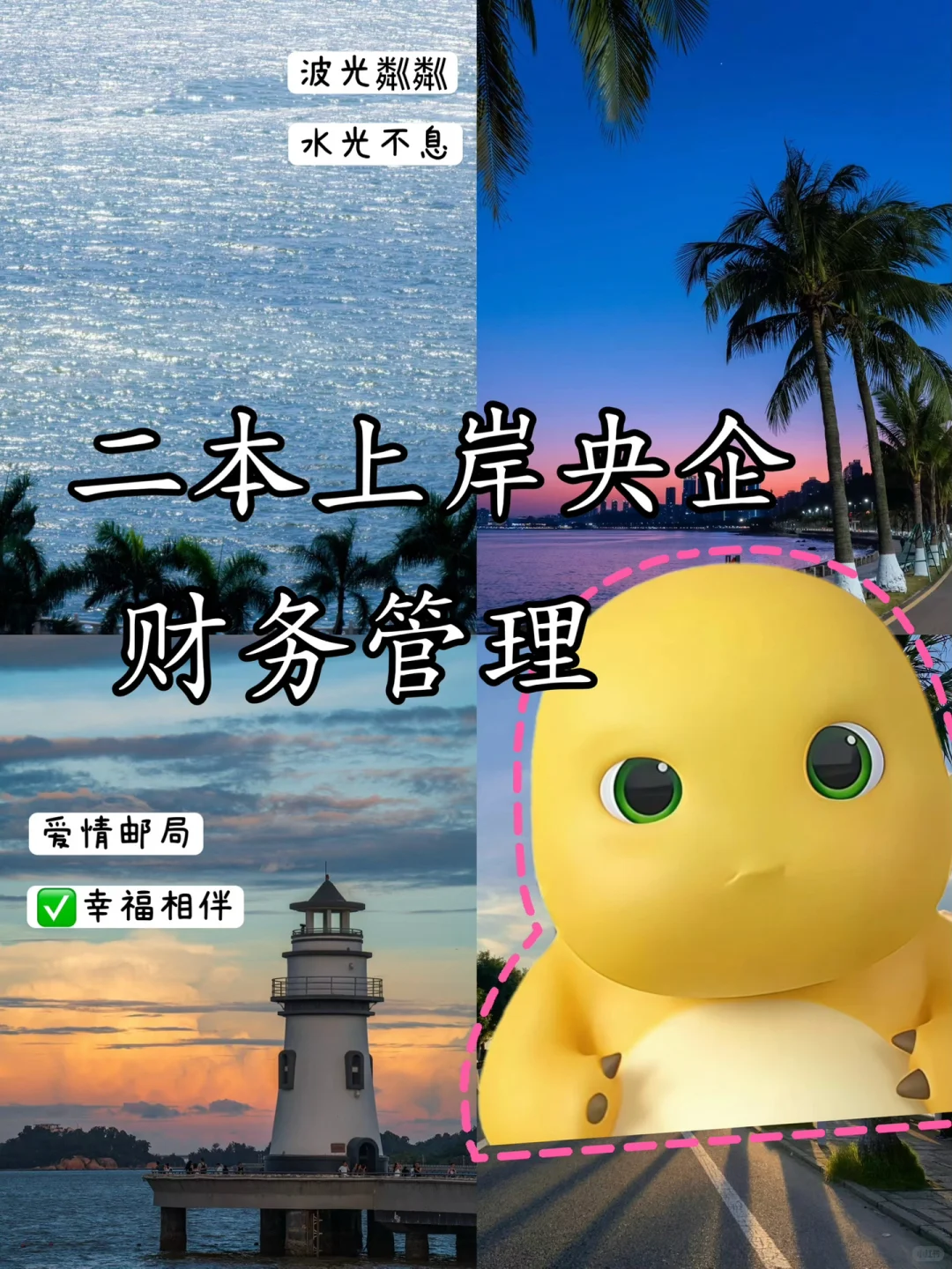 财务管理上岸央企