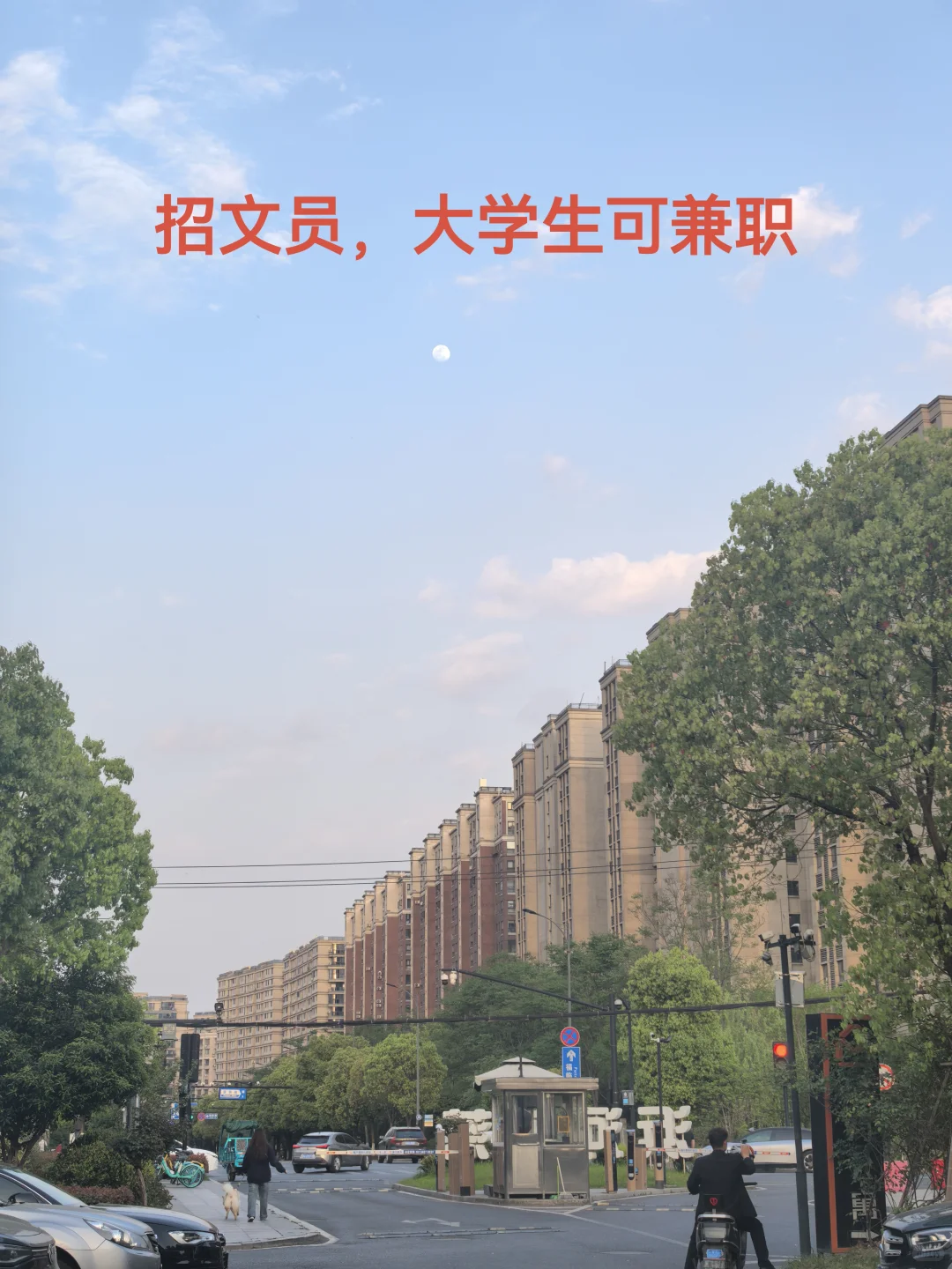 招人，招人，招人！！！
