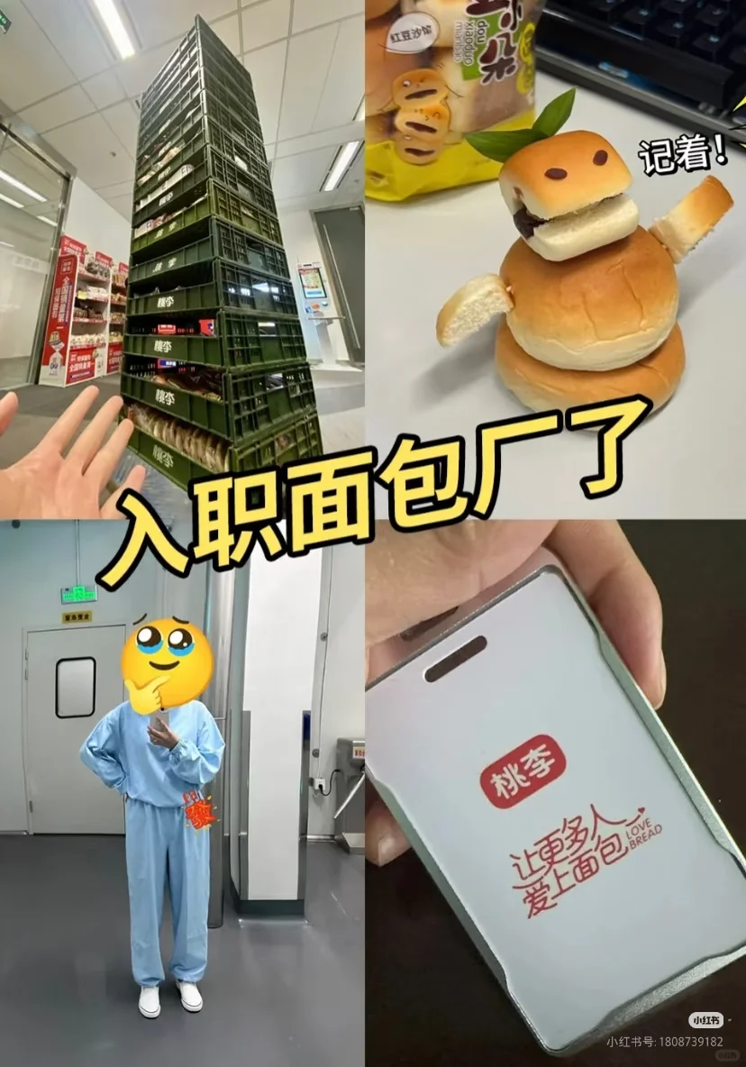 哈尔滨大厂面包工190一天