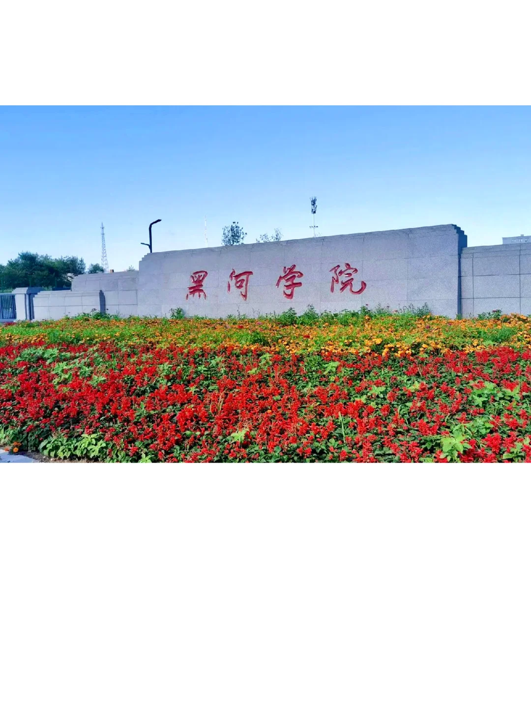 双非硕士上岸东北高校全攻略-黑河学院