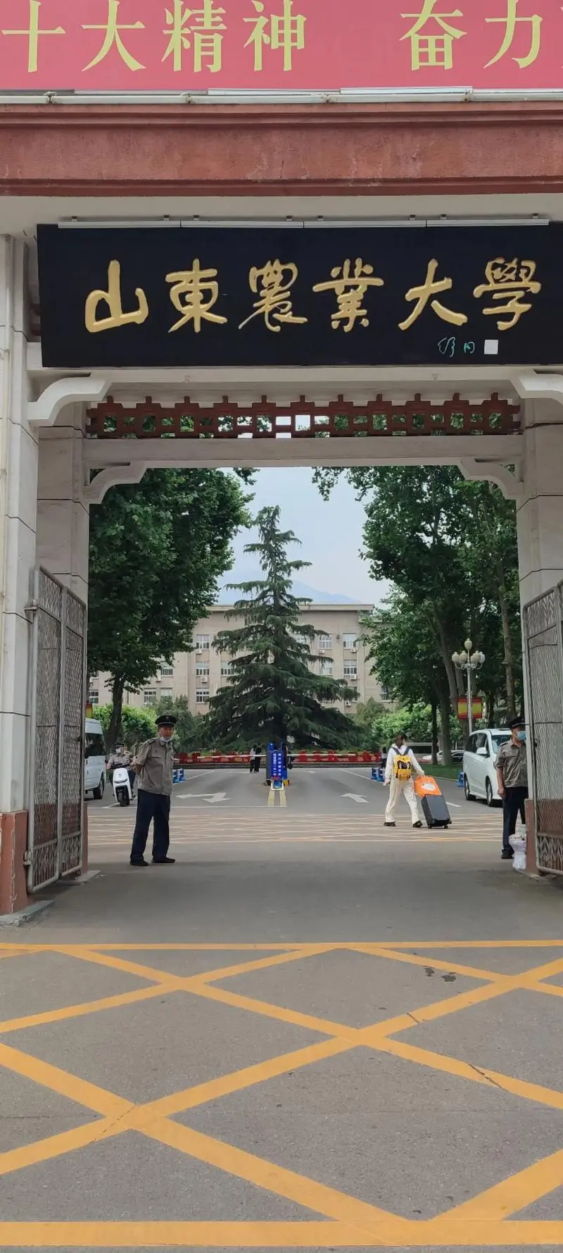 山东农业大学王牌专业和就业去向