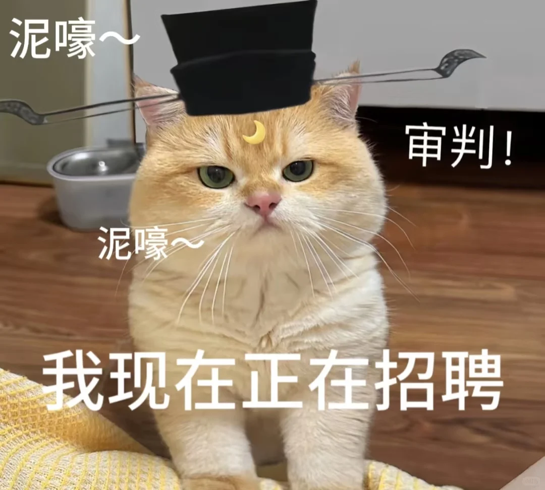 招人上班呢