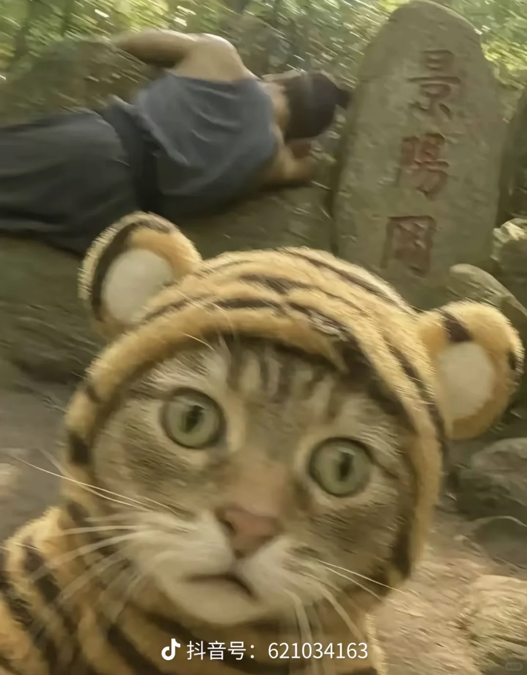 石家庄找几个能干事的年轻人