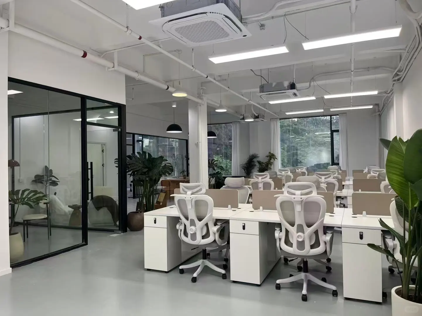 神仙公司，base海珠区，实习生小伙伴来来来