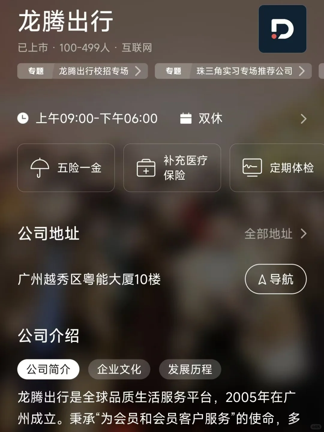 广州小而美双休公司总结