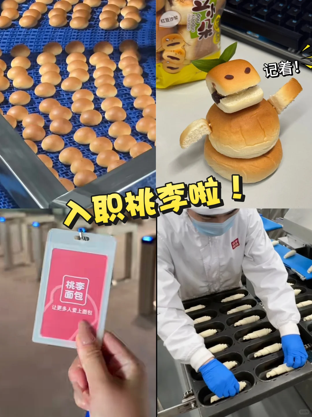 哈尔滨桃李大厂192一天