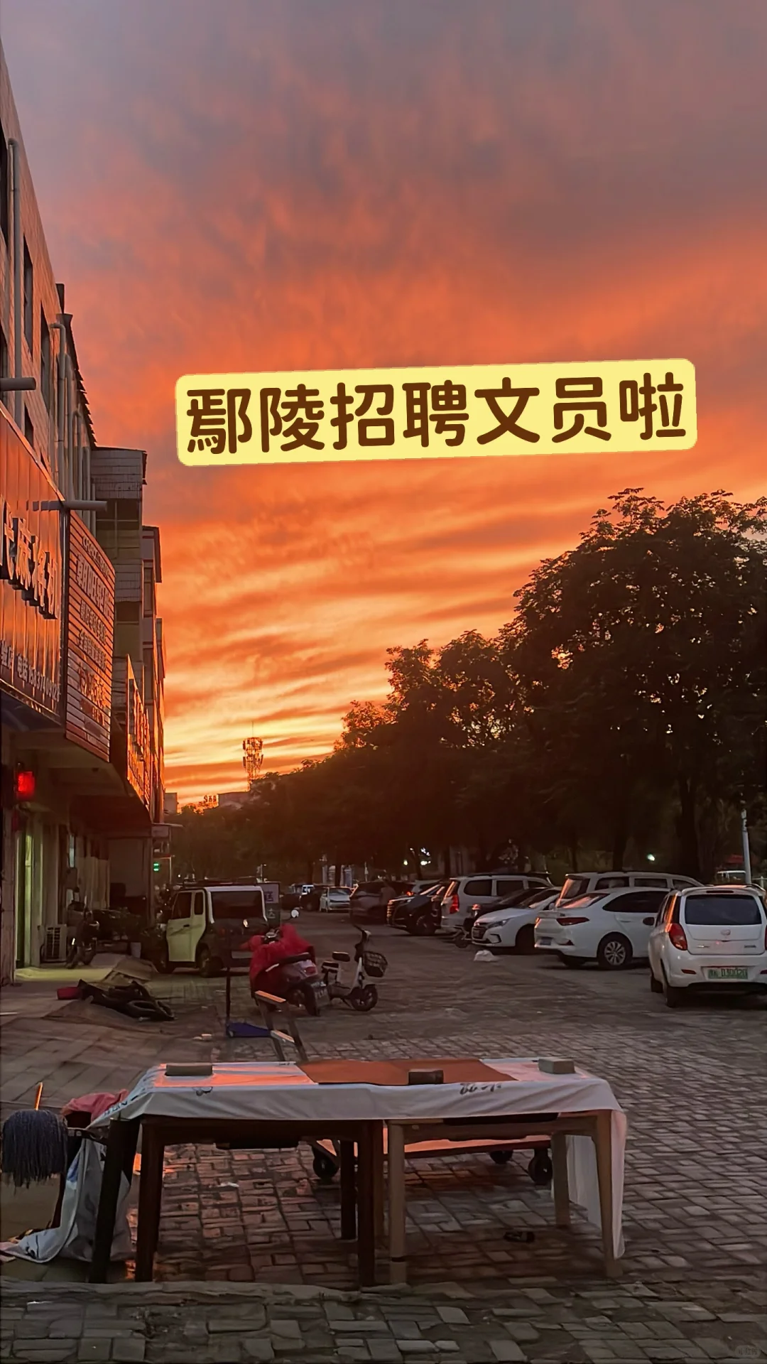 急急急，在家闲着的宝子们快来呀