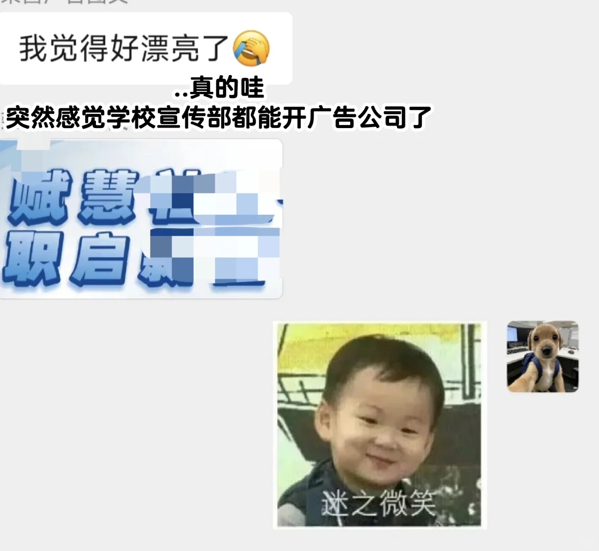 社工实习生都在做什么项目？