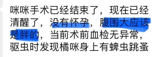 狸奴待聘（目前无1️⃣人来聘😢）