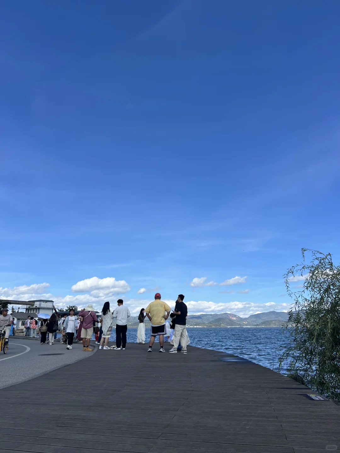 大理民宿直播招募