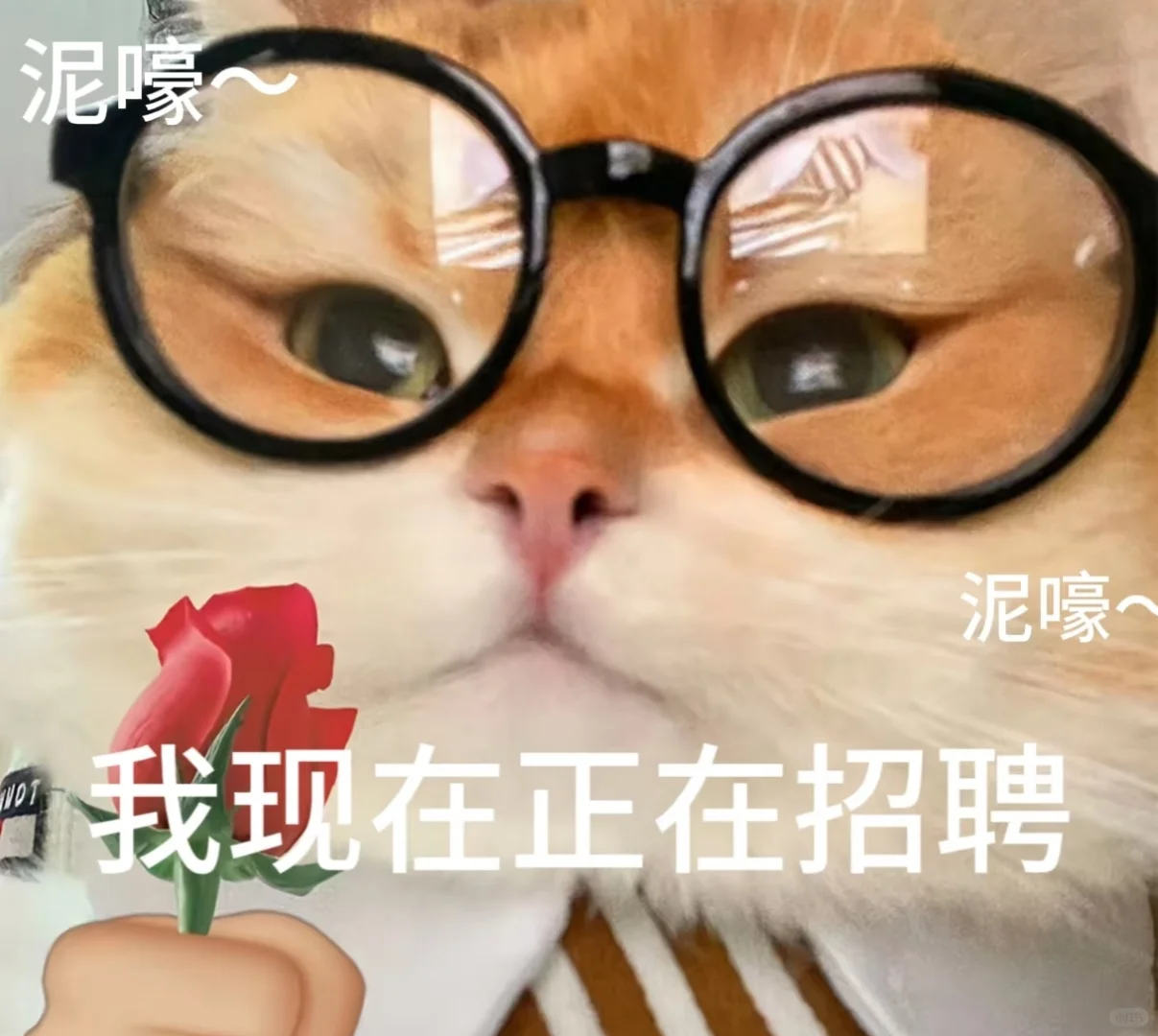 招人上班呢