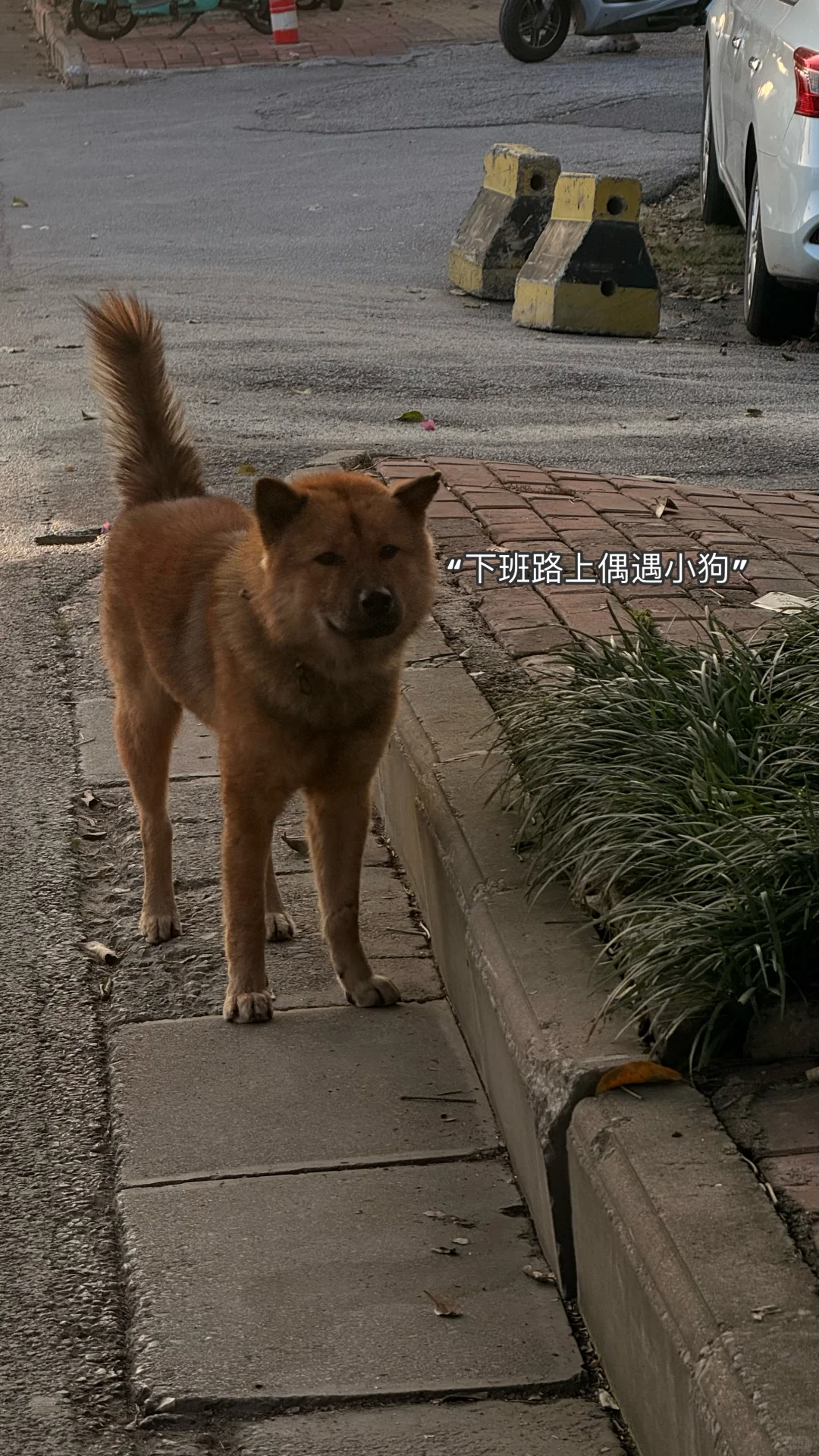 04年｜月薪2500｜挑战600块过一个月第1天