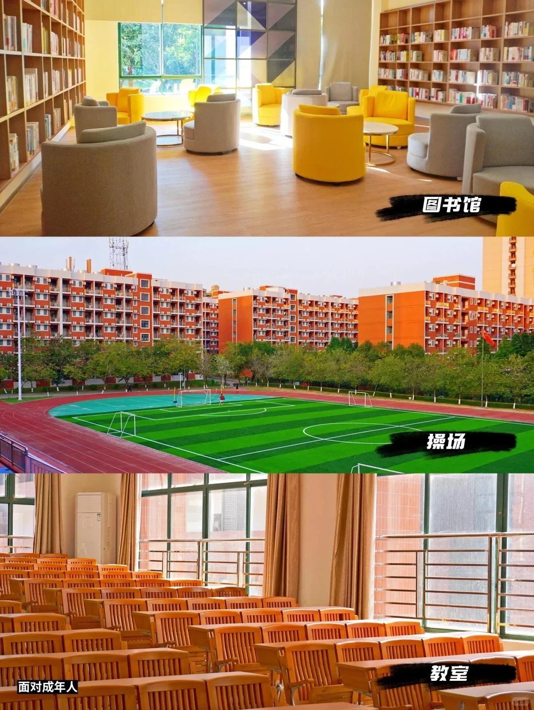 广州这所好美公办 高考100～350可读进广东最美中