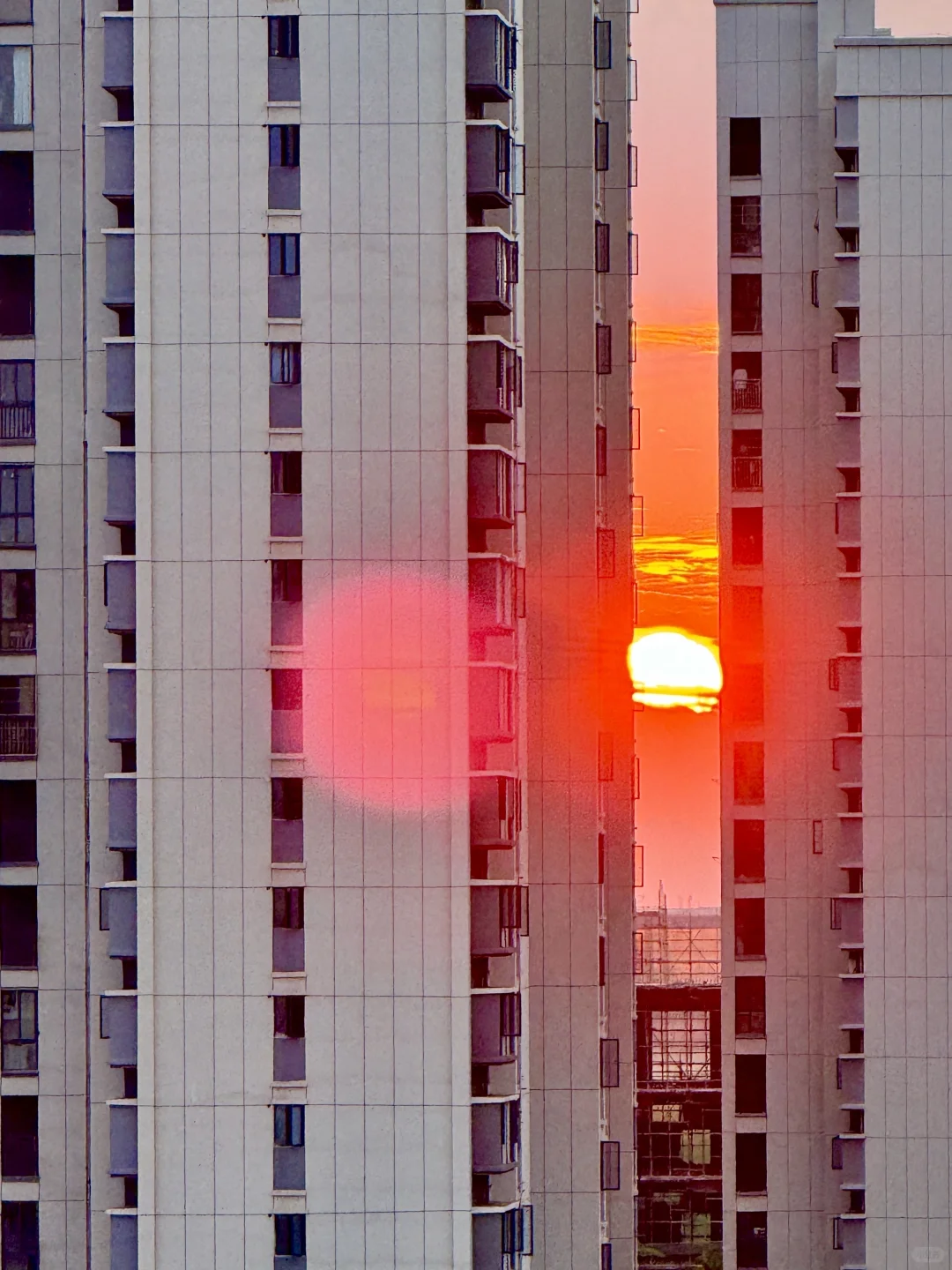 带货主播来来来来来