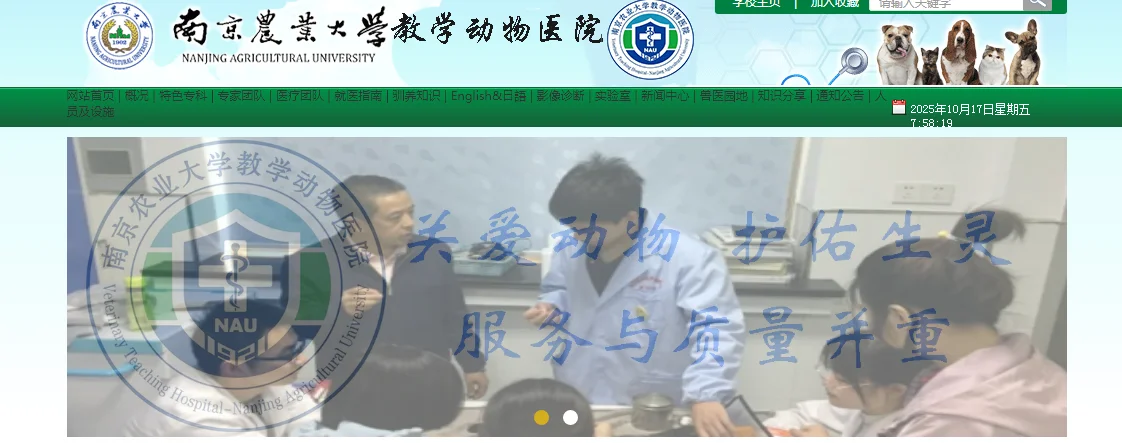 南京农业大学教学动物医院招聘兽医类硕士