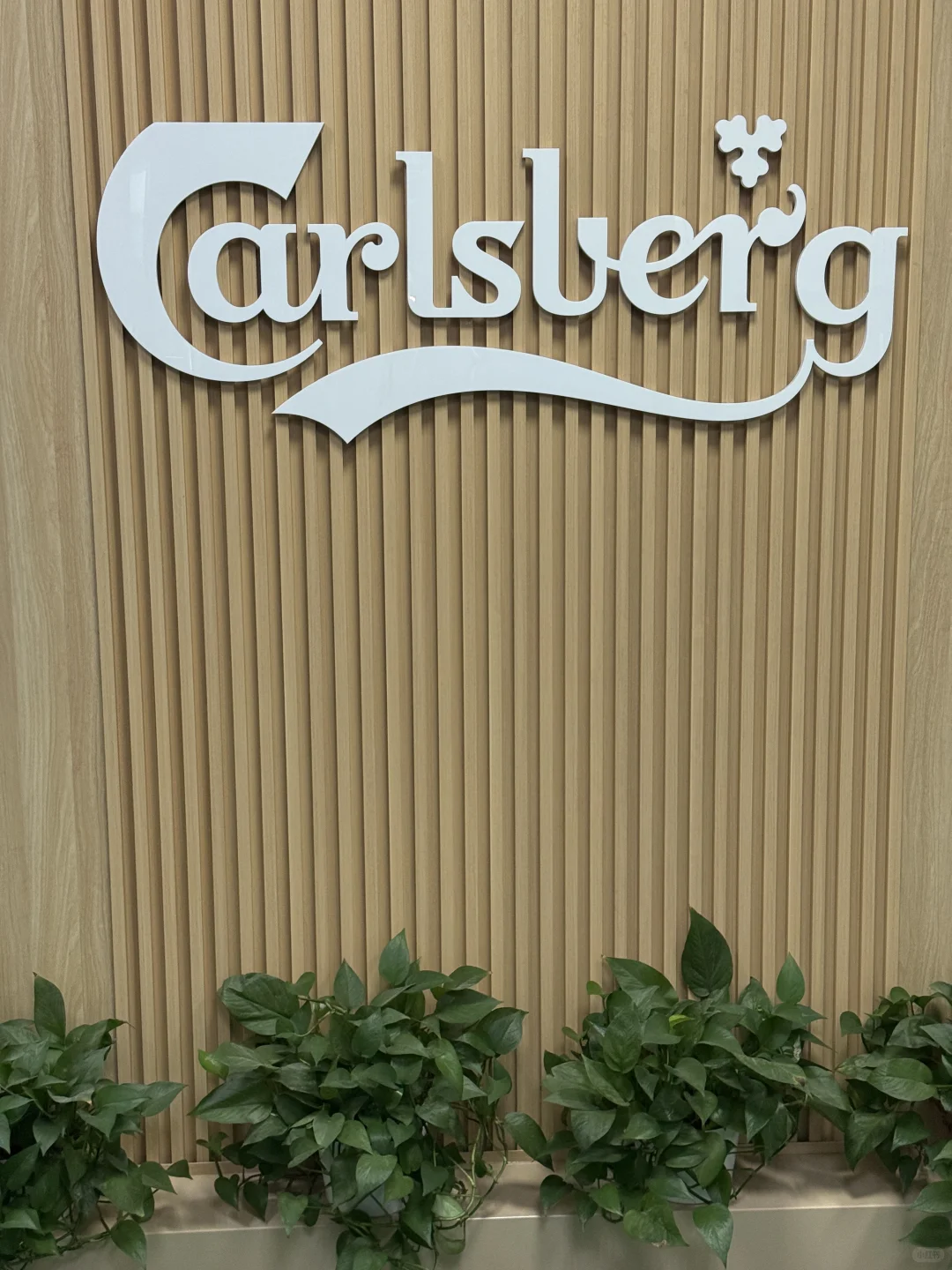 嘉士伯社招面试经验贴