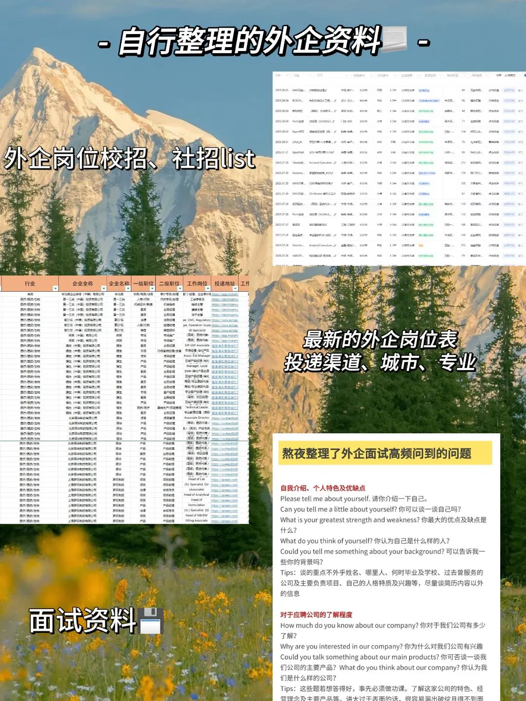农林牧渔专业的可以投的外企