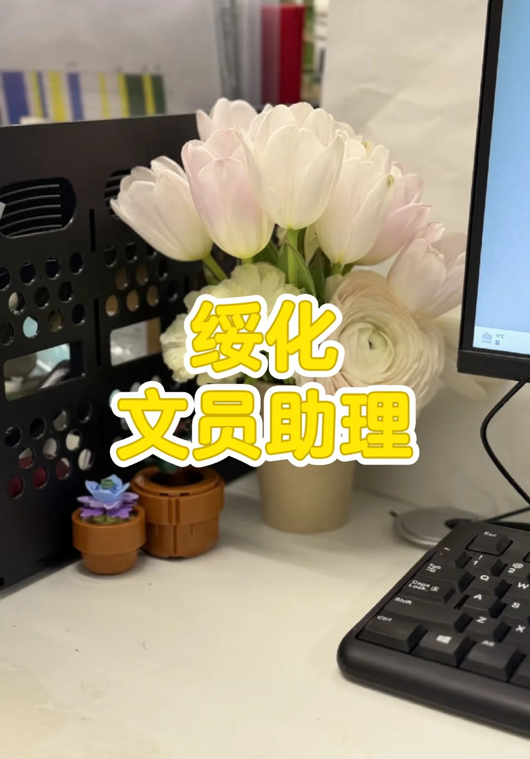 绥化北林区文员助理