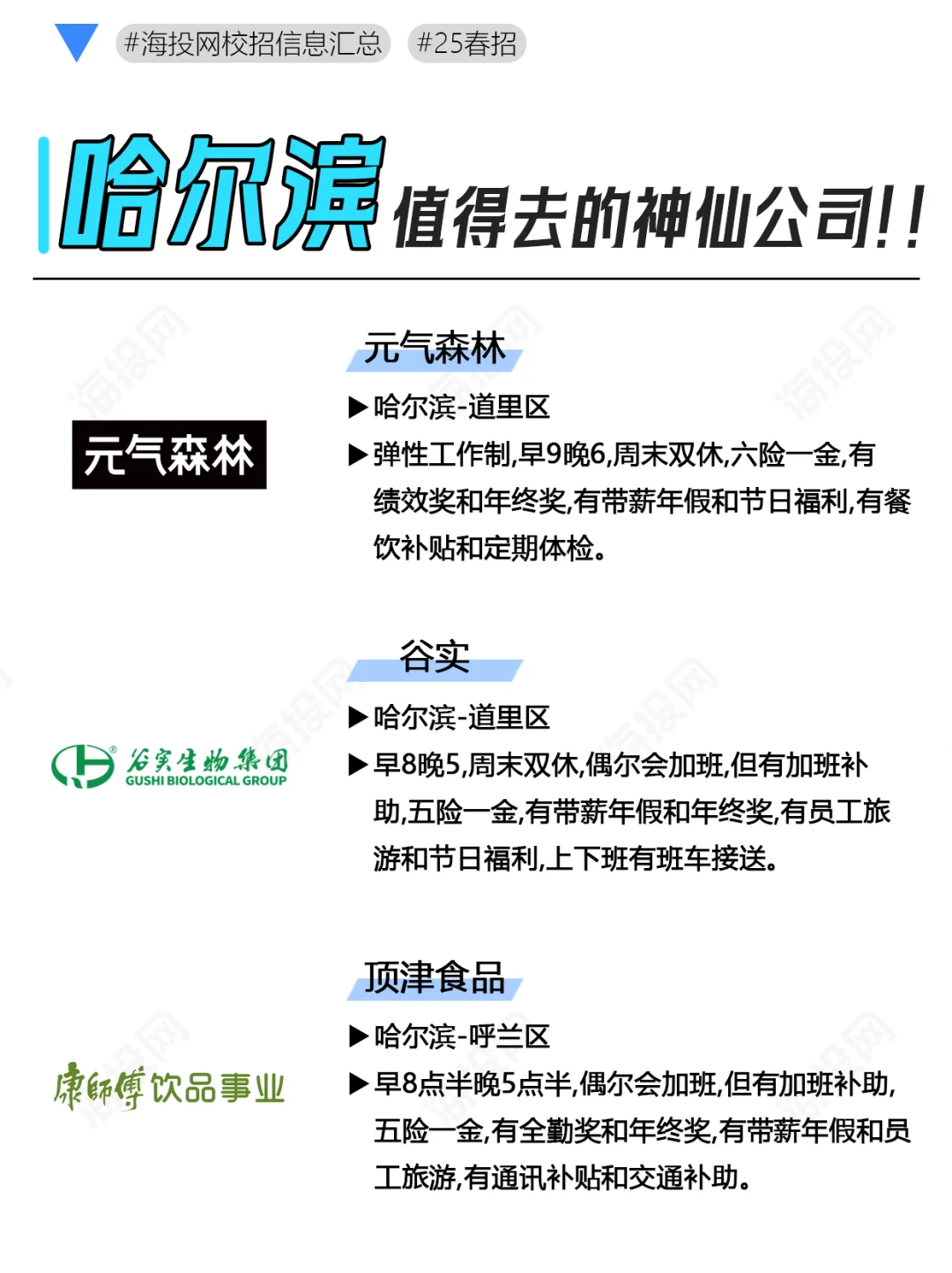 哈尔滨神仙公司合集！六险一金双休不内卷~