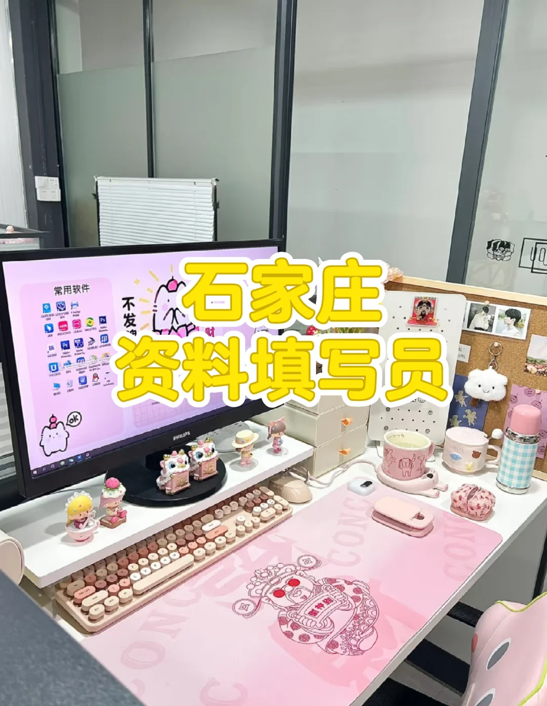 石家庄双休资料填写员