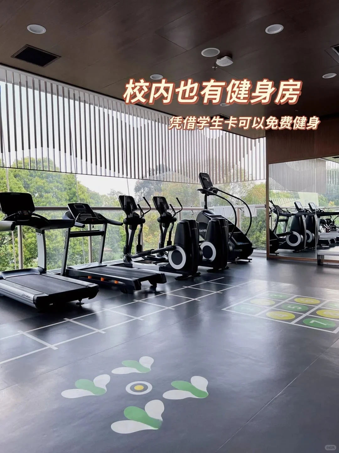 广州这所好美公办 高考100～350可读进广东最美中