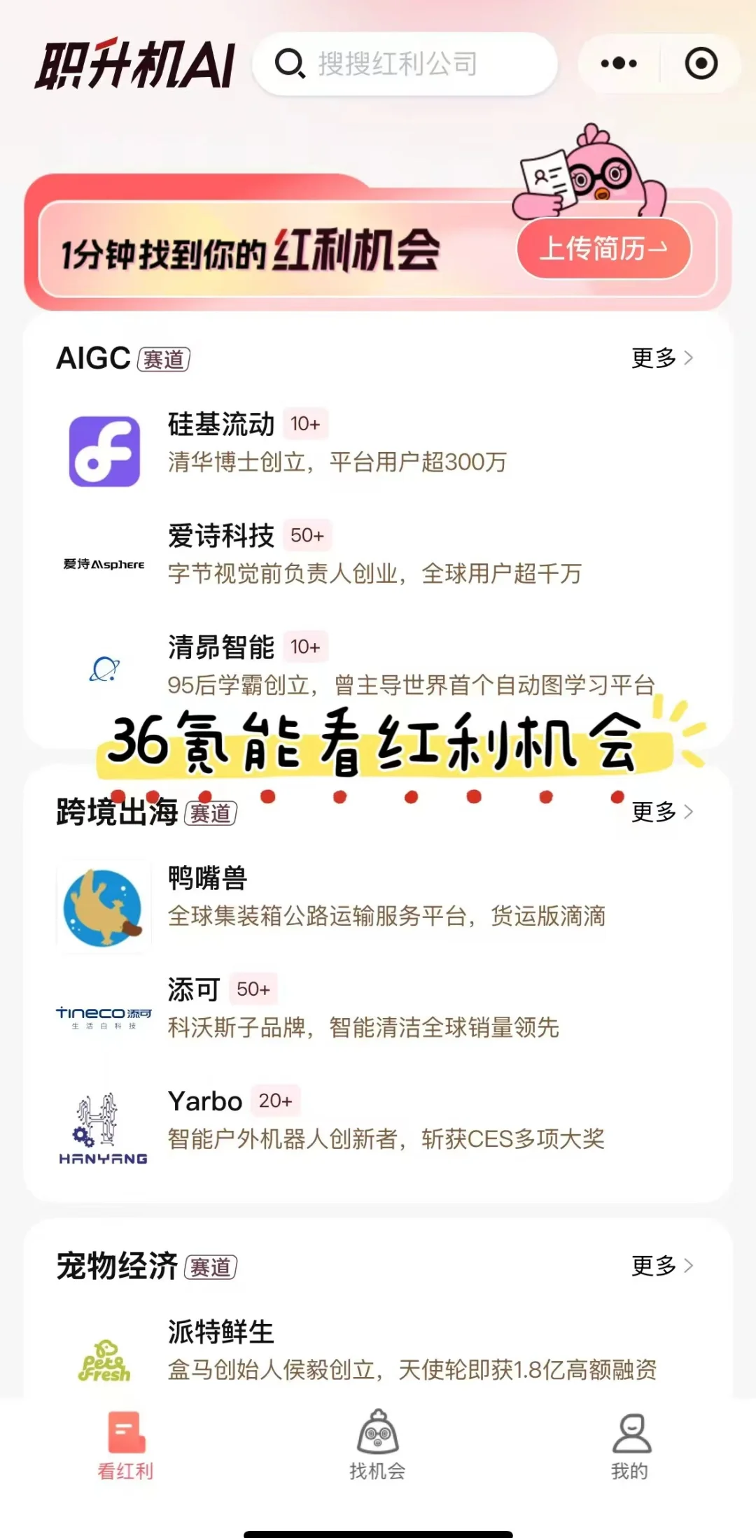 我想不通 为什么没面试