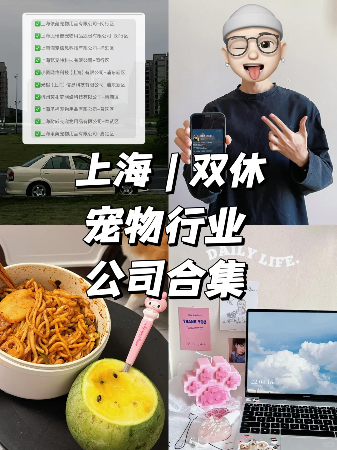 上海双休 | 宠物行业公司合集