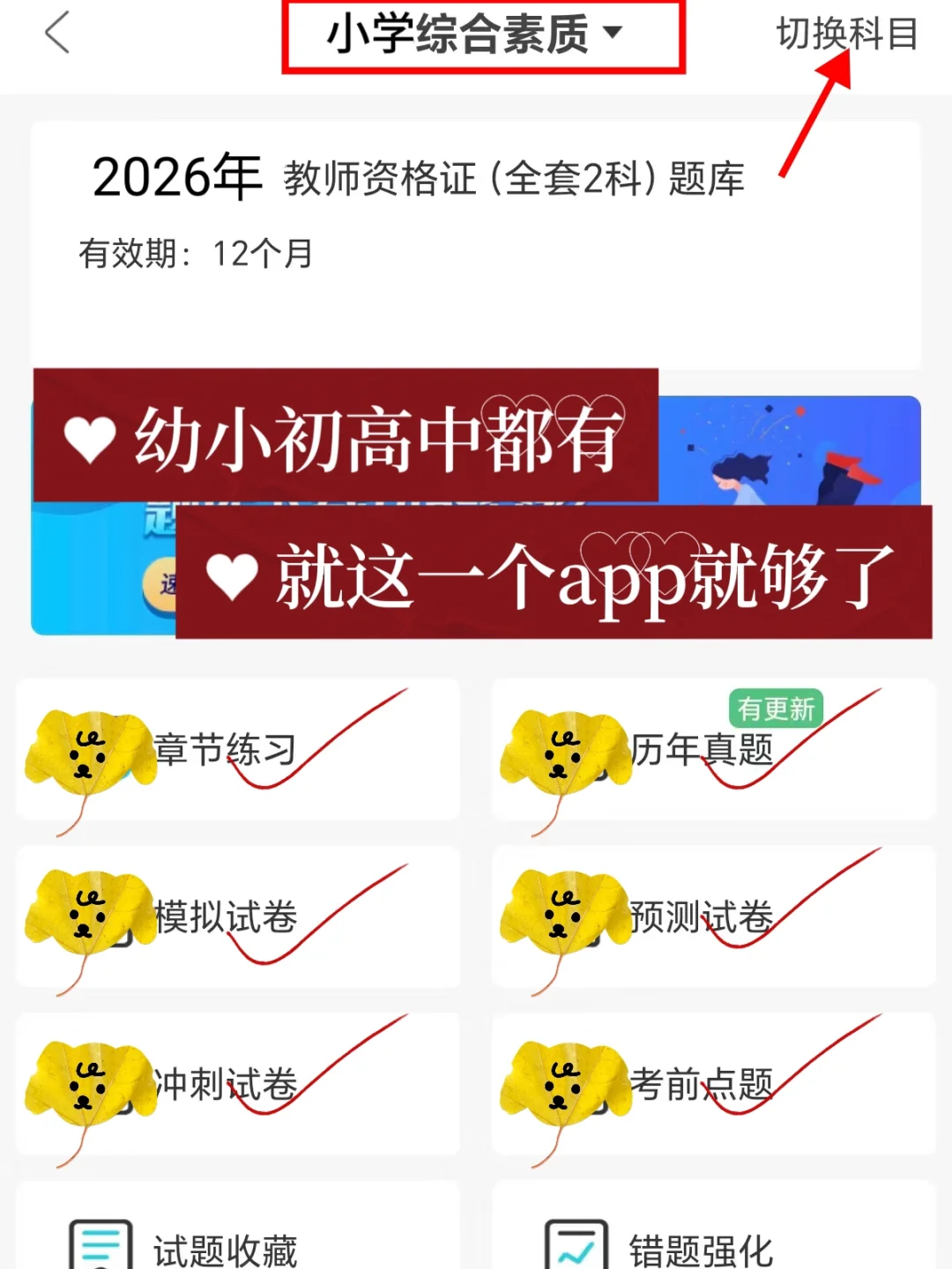 26上教资笔试，没有备考方向直接抄我的！