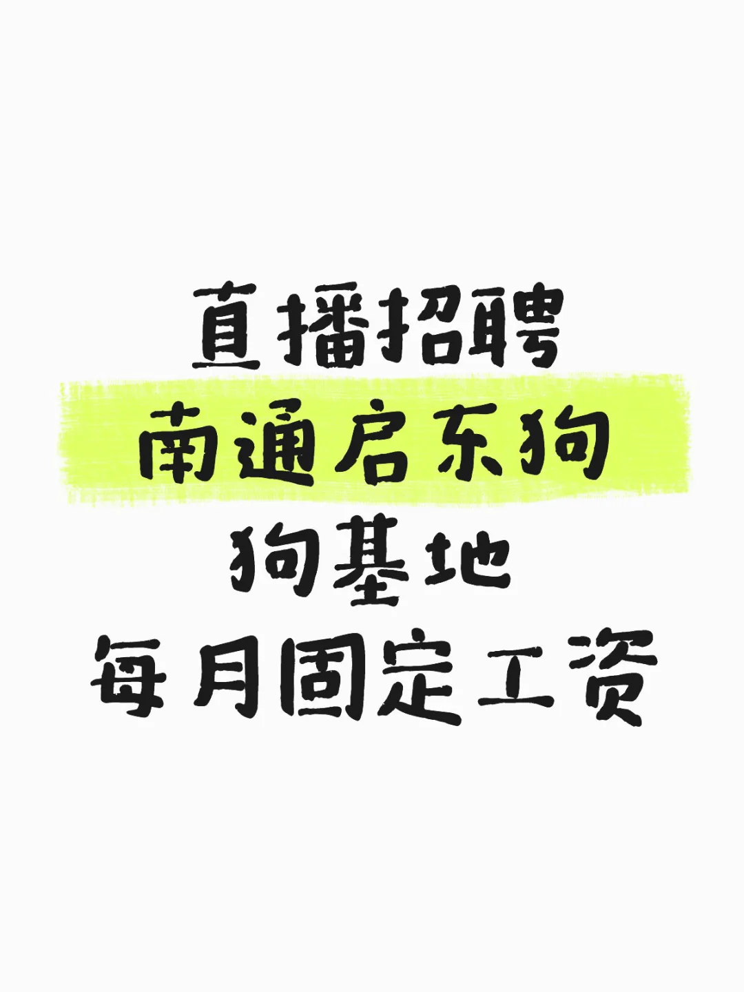 直播招聘 南通启东狗基地