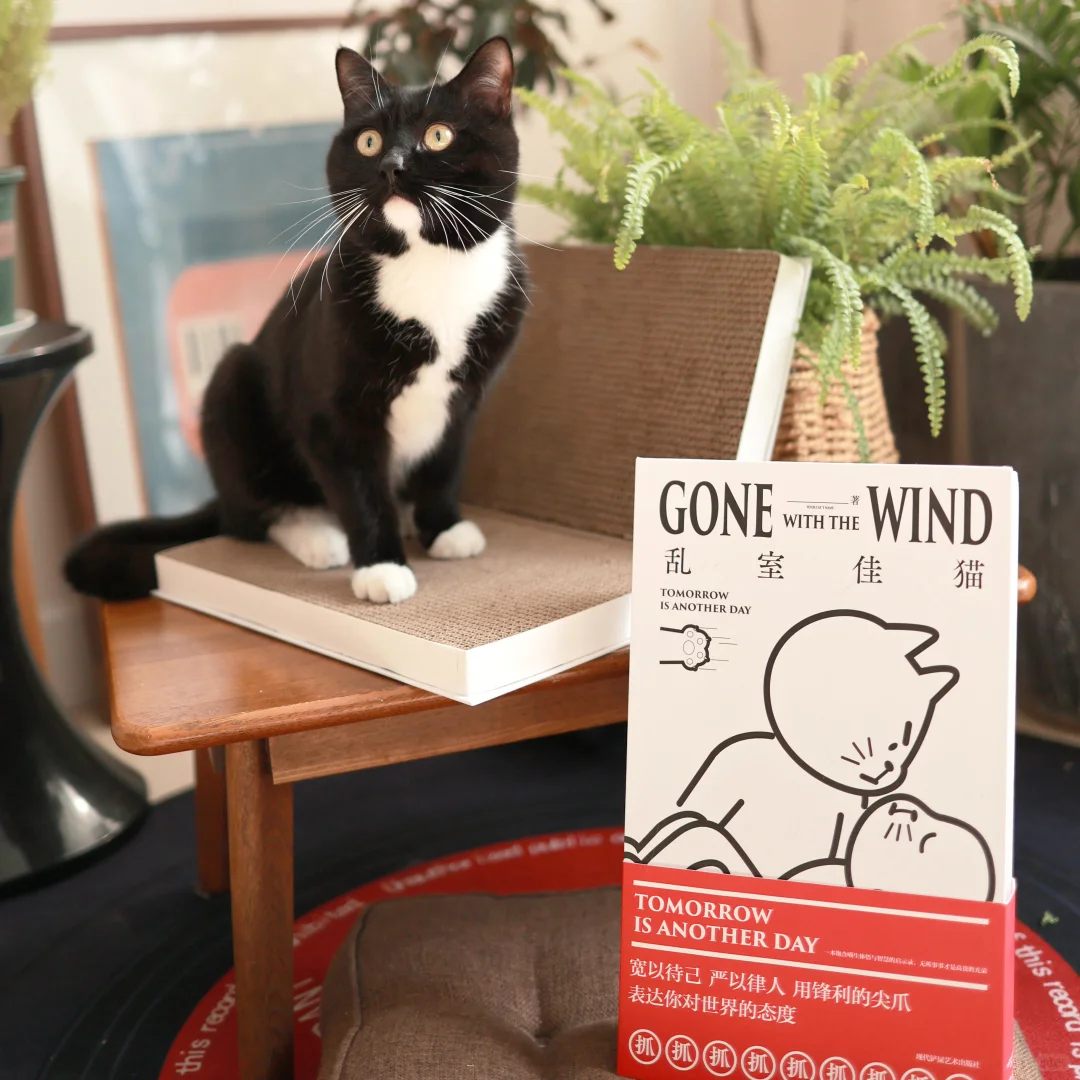 🐈聘猫之礼｜一场给猫主子的千年仪式✨