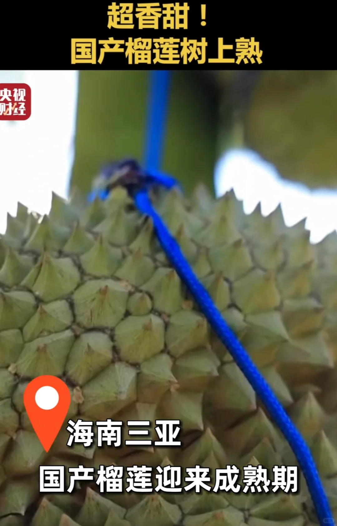 谁说学农人没前途的？农业没赛道找不到工作