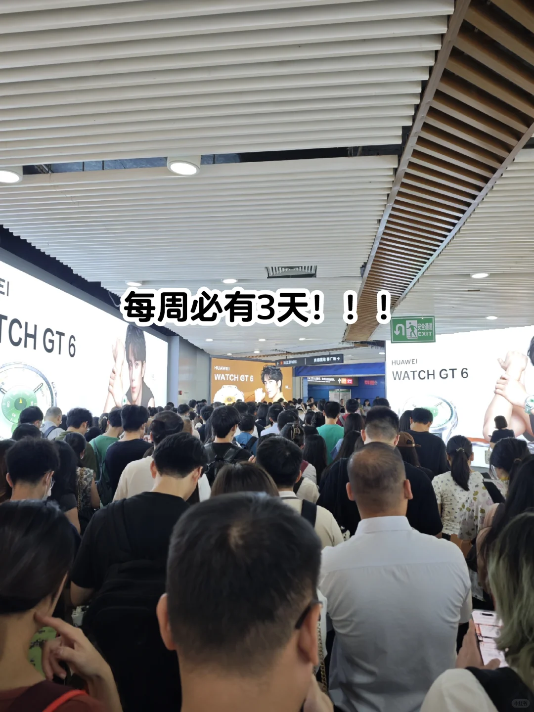 社工实习生都在做什么项目？