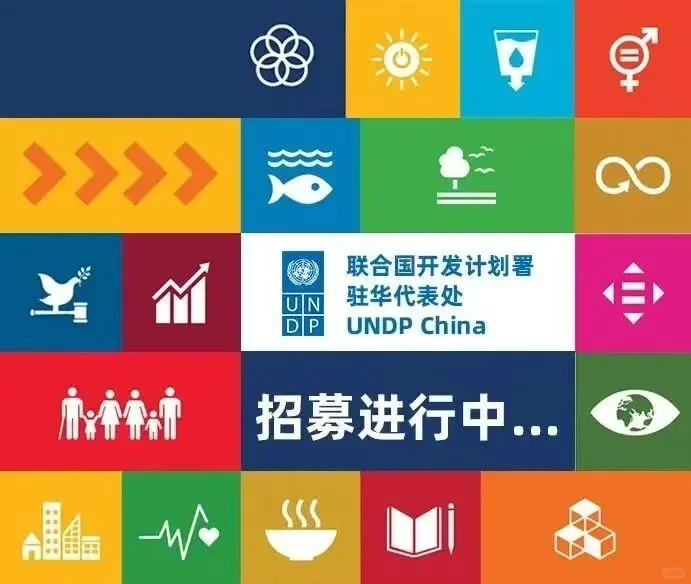 【实习｜北京线下 联合国开发计划署实习】
