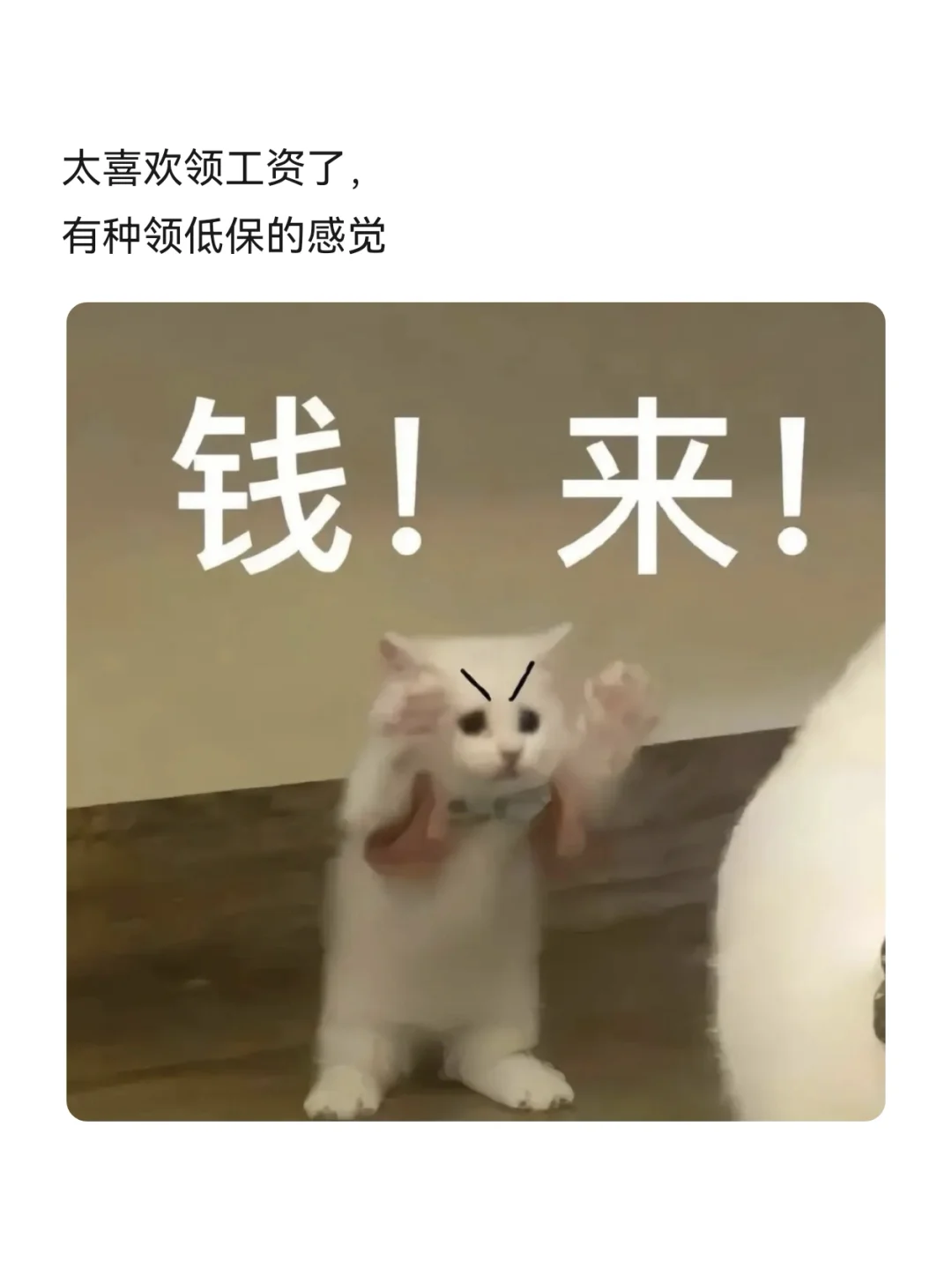 发工资这样发，去笑死你的朋友圈