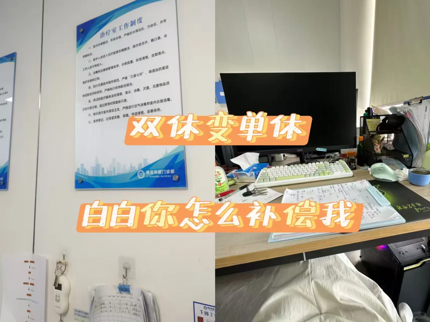 为了看白白,我的双休变单休了