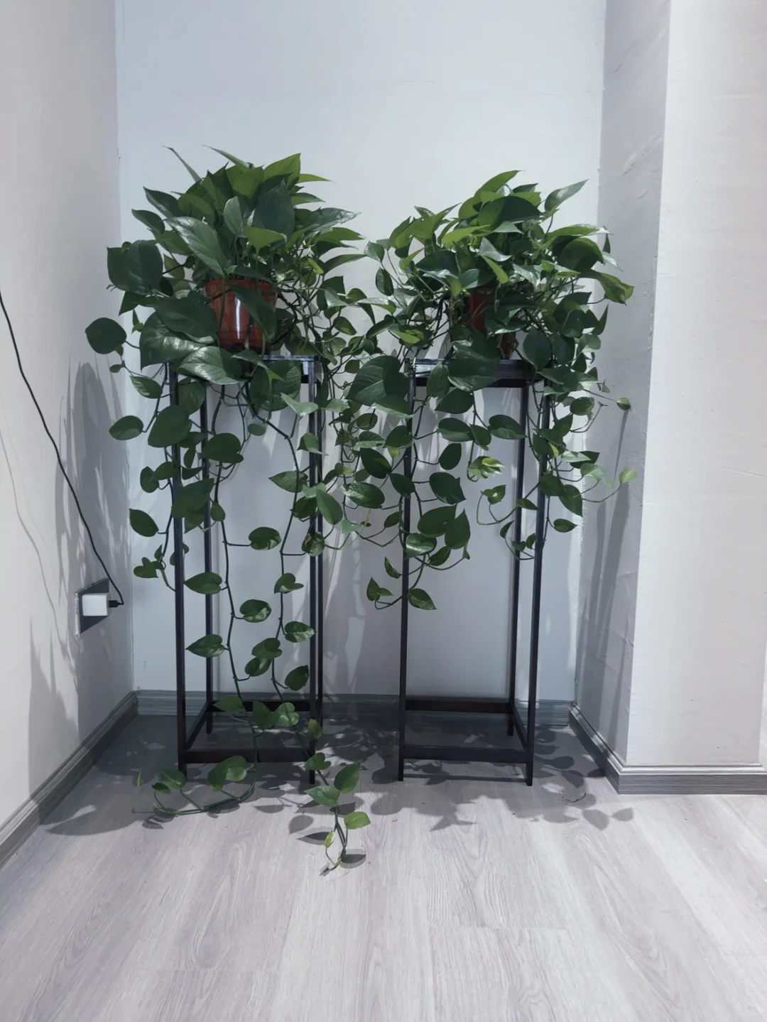 有人愿意来传媒公司上班吗？