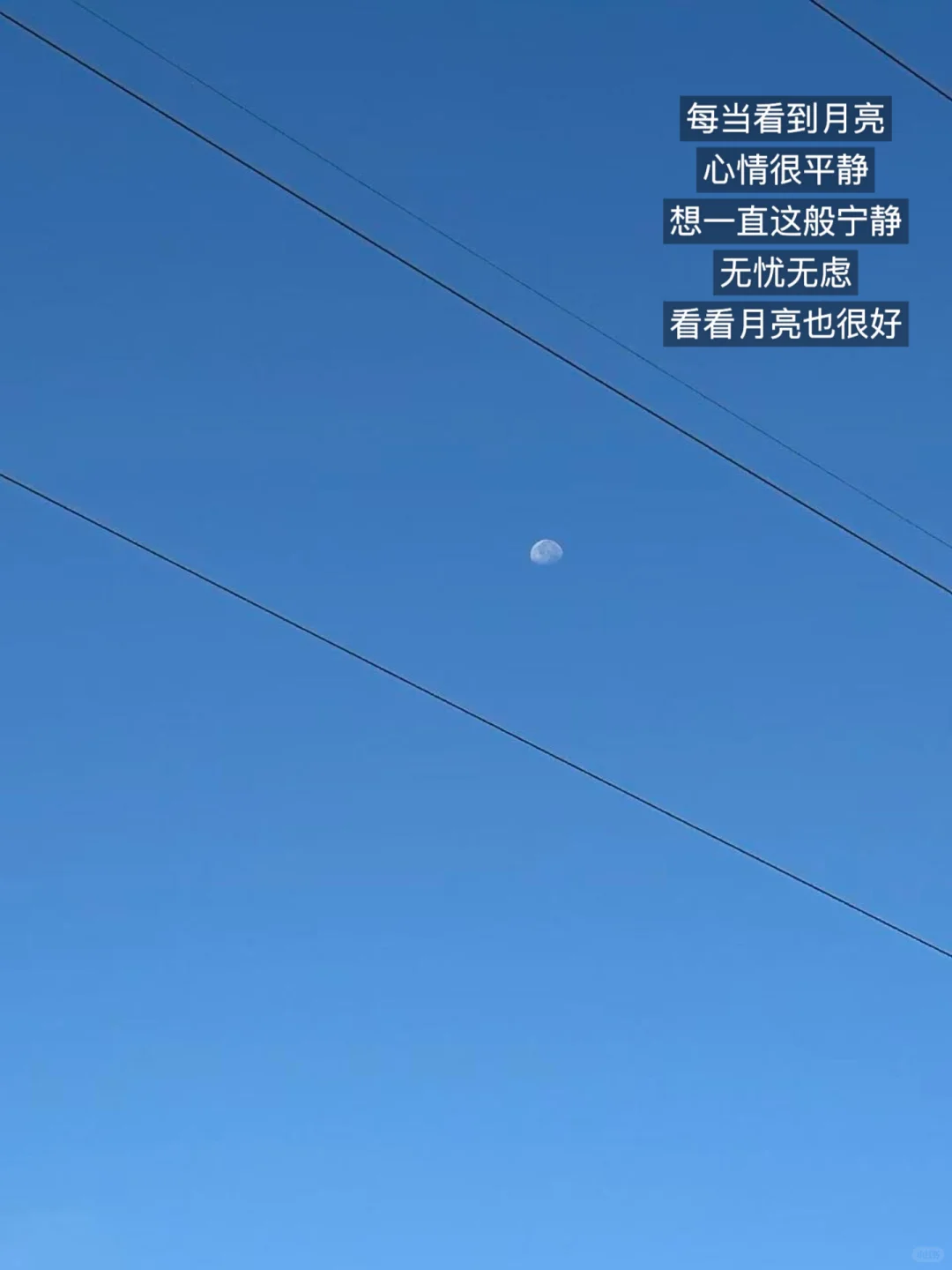 月薪3000｜毕业后我把自己照顾的很好