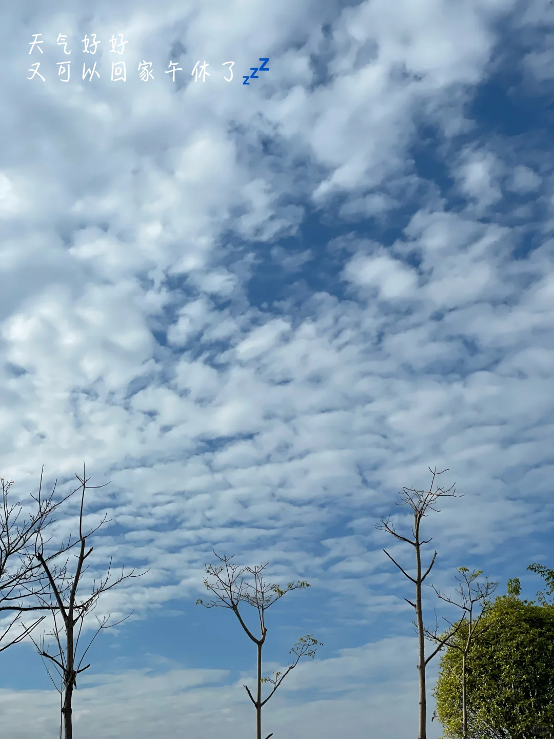 在柳州，小心机让我美美入职双休工作