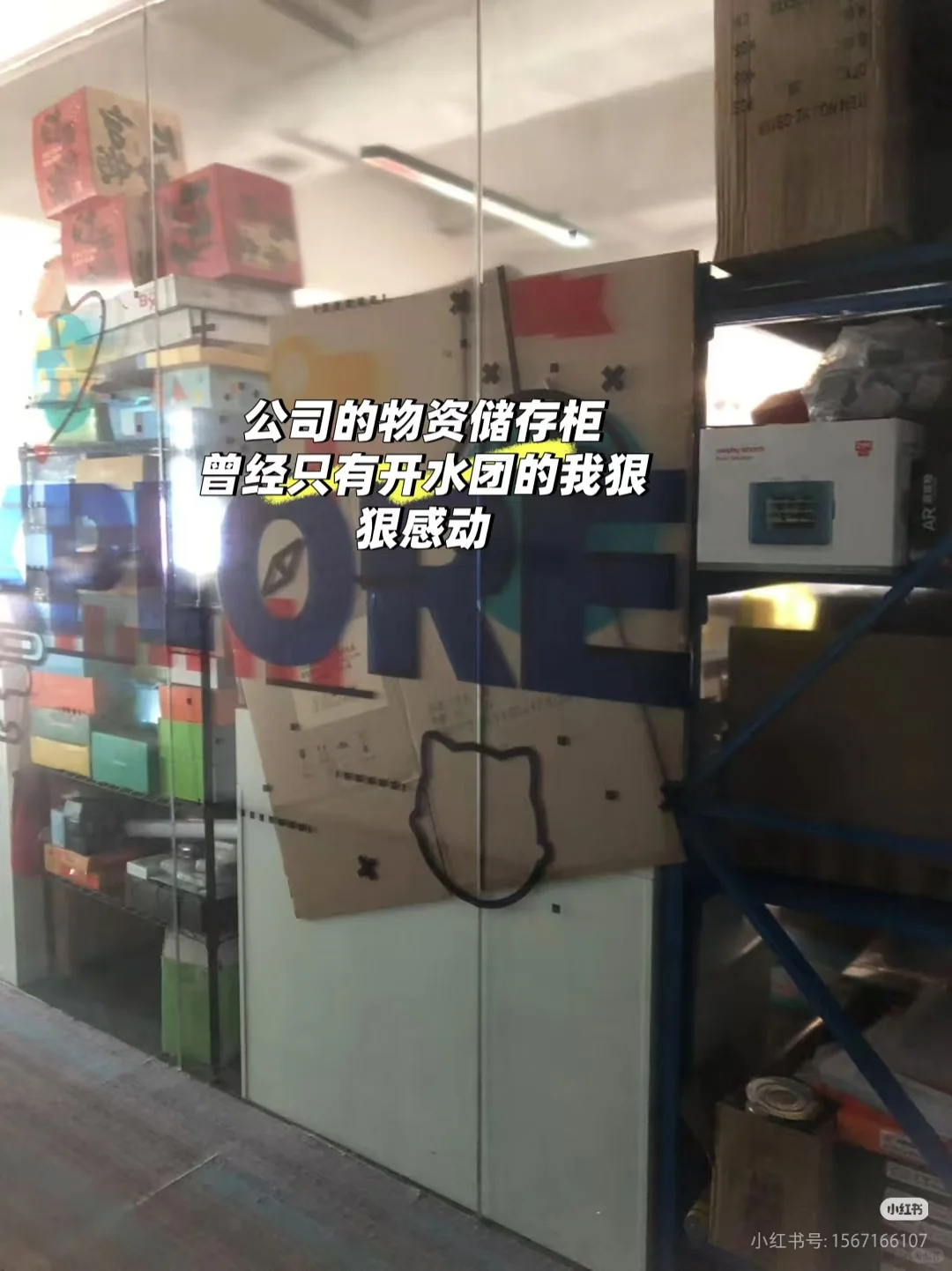 深圳点猫科技编程猫，项目运营招继任！有hc