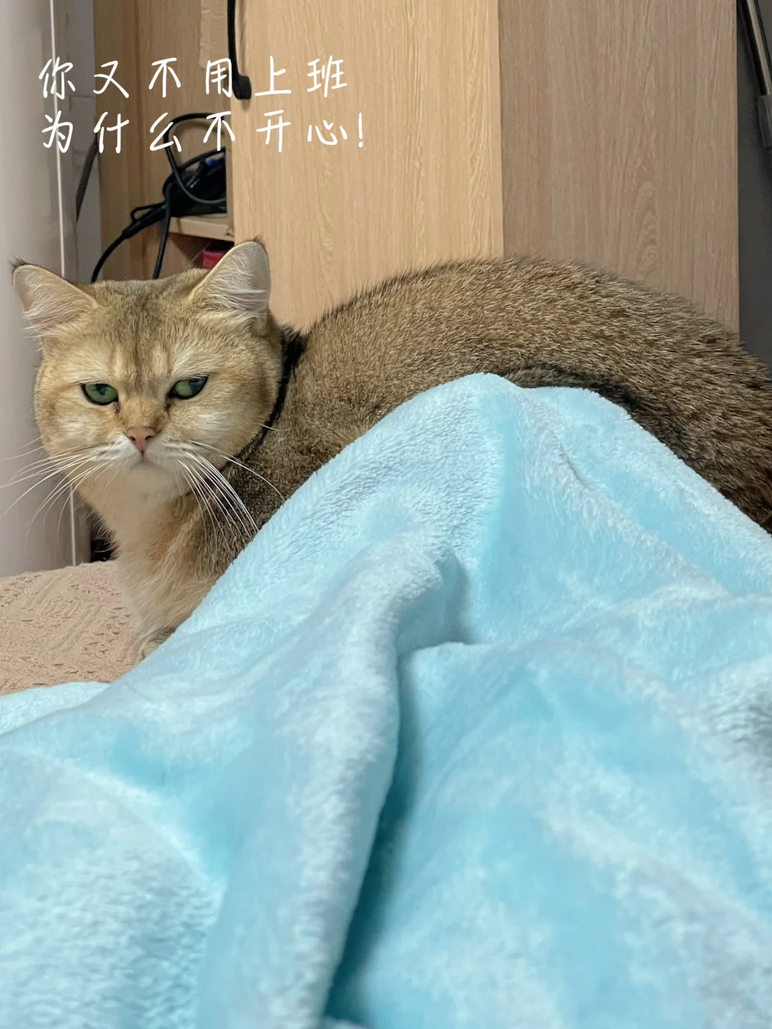 在柳州，小心机让我美美入职双休工作