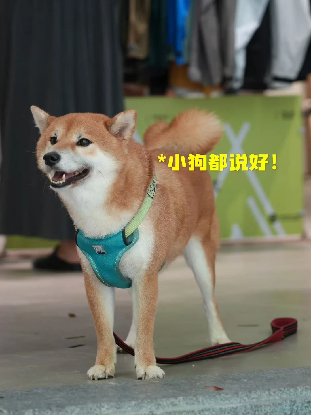 📣长期招聘工作日兼职！坐标深圳华侨城！