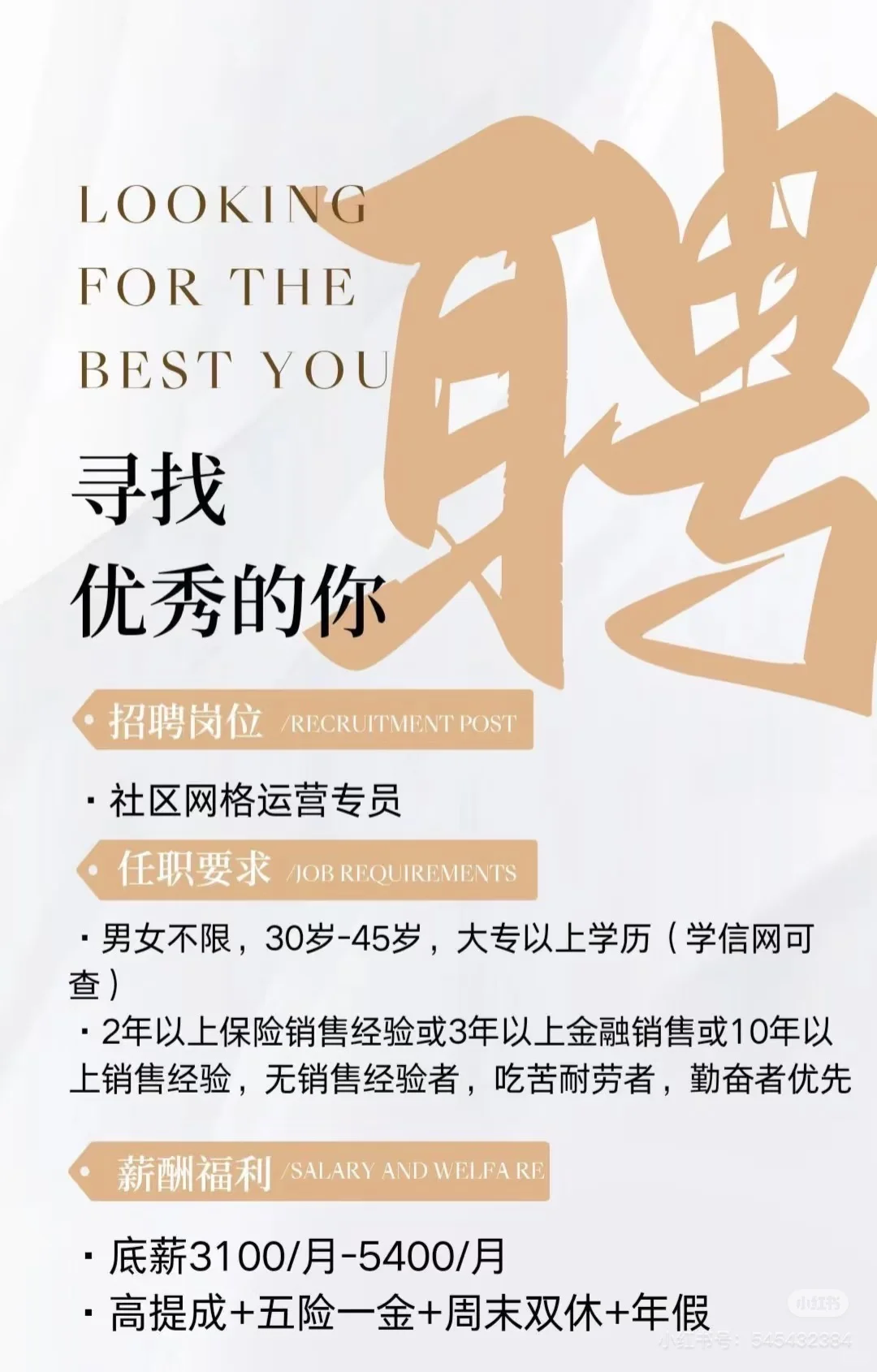 那一年我遇见了你
