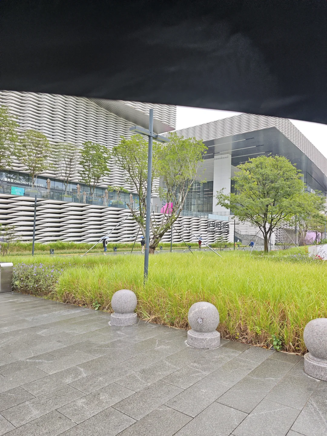 在深圳失业的第114天