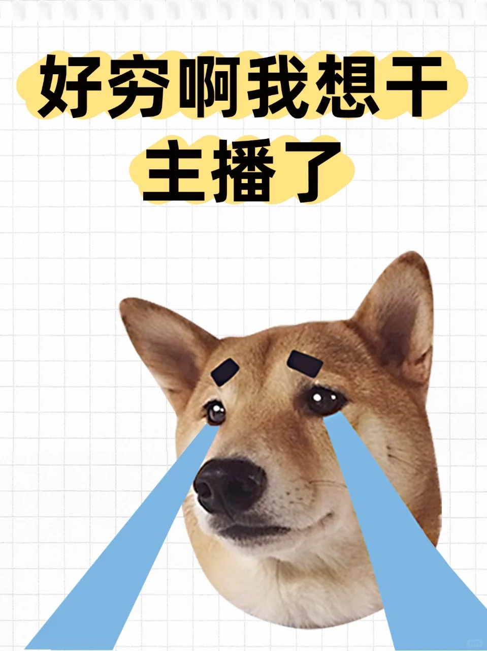 小白欢迎打扰