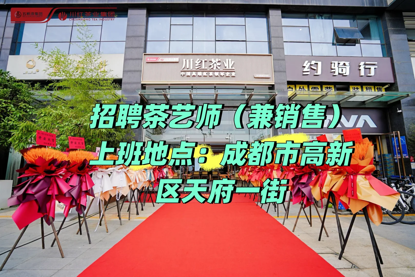 【招茶艺师啦】