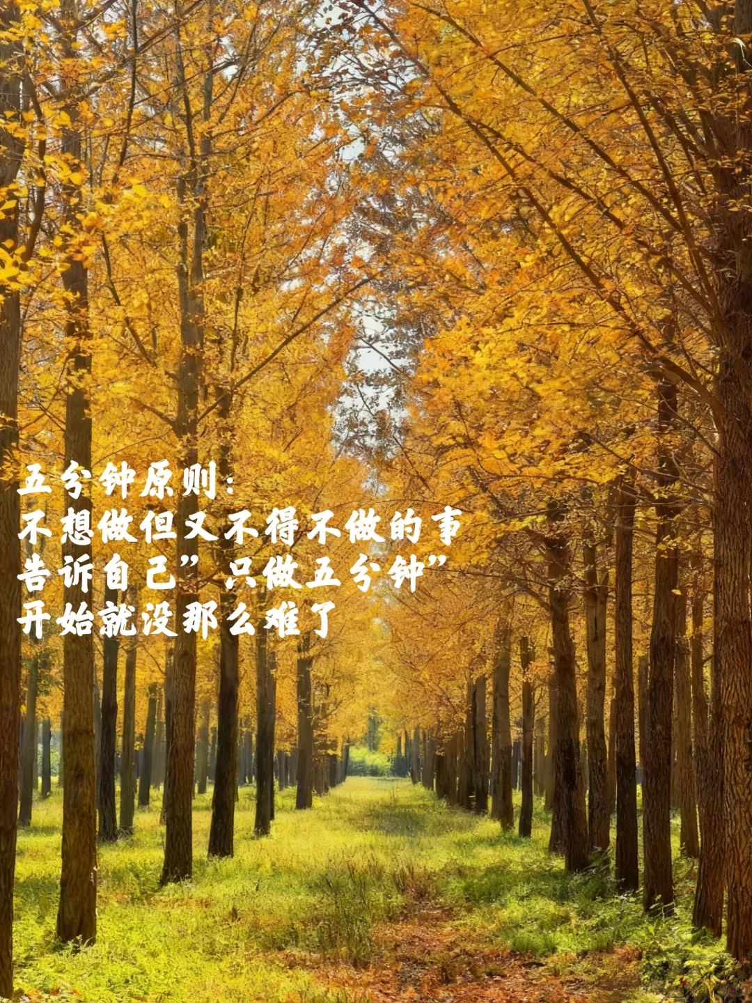 38岁失业的我，为何会被老公的一句话击垮？