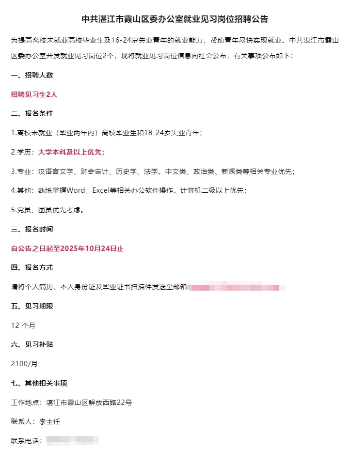 中共湛江市霞山区委办公室就业见习岗位招聘