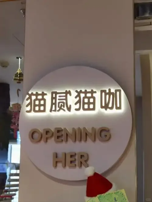 猫咖兼职110天