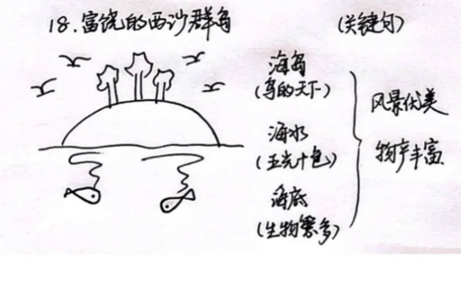 【小语教师招聘面试逐字稿】富饶的西沙群岛